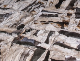 Bedspread made of natural pieces of Rex skins 160x200 cm pudding
