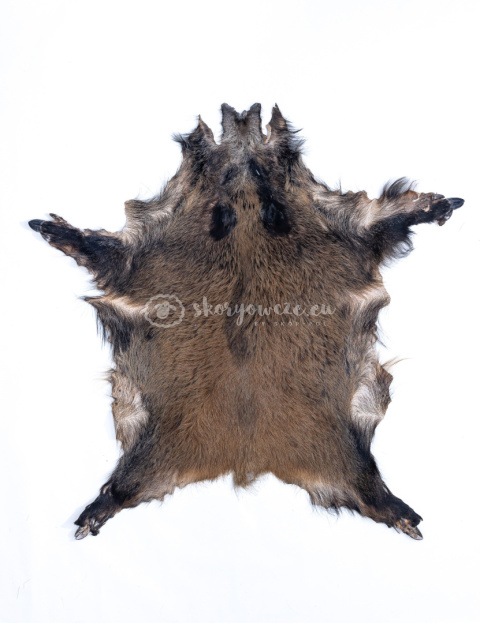 Decorative boar/ wild boar skin for the floor/ decorative leather 3. Decorative boar/ wild boar skin for the floor/ decorative leather 3.