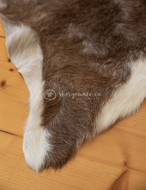 Skóra z kozy/ kozia skóra/ kozia skóra dekoracyjna 120-140 cm Skóra z kozy/ kozia skóra/ kozia skóra dekoracyjna 120-140 cm