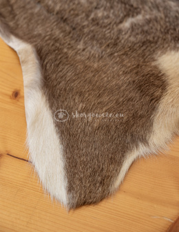 Skóra z kozy/ kozia skóra/ kozia skóra dekoracyjna 120-140 cm