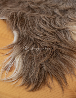 Skóra z kozy/ kozia skóra/ kozia skóra dekoracyjna 120-140 cm