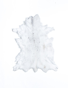 Decorative reindeer skin / white Albino reindeer / Unique, Pattern 2.