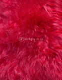 Island sheepskin / dyed / flamenco / red
