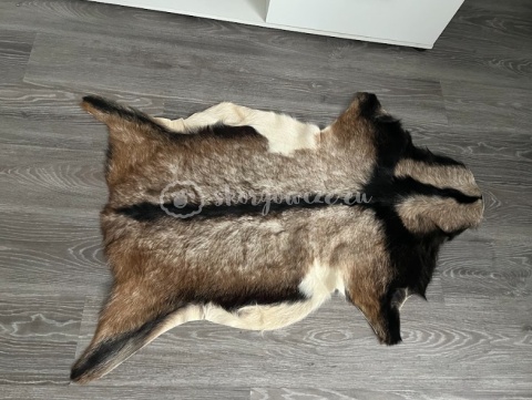 Skóra z kozy/ kozia skóra/ kozia skóra dekoracyjna 90-110 cm