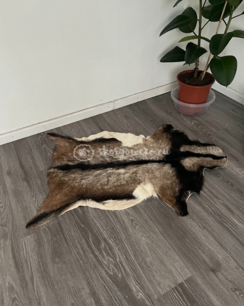 Skóra z kozy/ kozia skóra/ kozia skóra dekoracyjna 90-110 cm