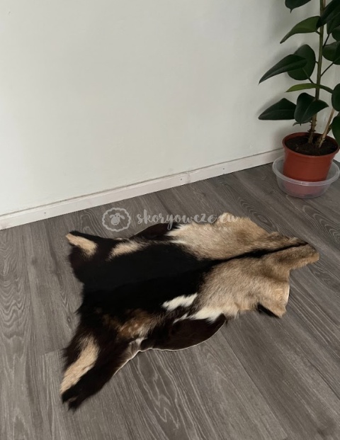Skóra z kozy/ kozia skóra/ kozia skóra dekoracyjna 90-110 cm