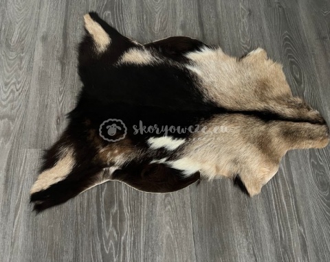Skóra z kozy/ kozia skóra/ kozia skóra dekoracyjna 90-110 cm