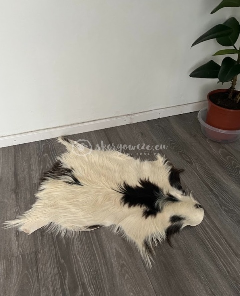 Skóra z kozy/ kozia skóra/ kozia skóra dekoracyjna długi włos 90-110 cm