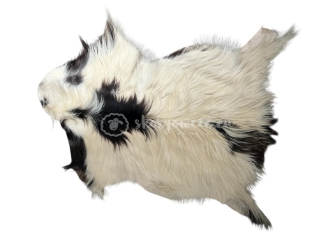Skóra z kozy/ kozia skóra/ kozia skóra dekoracyjna długi włos 90-110 cm